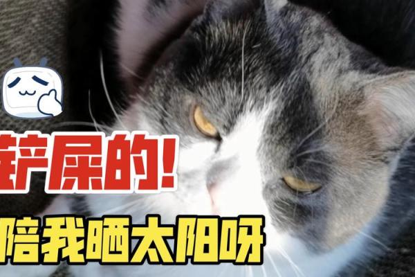 算命要我晒太阳