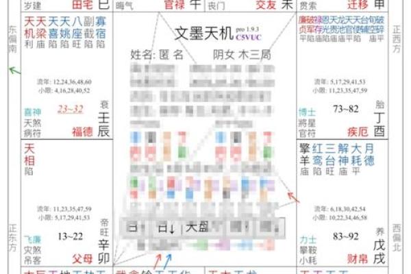 申宫紫薇斗数
