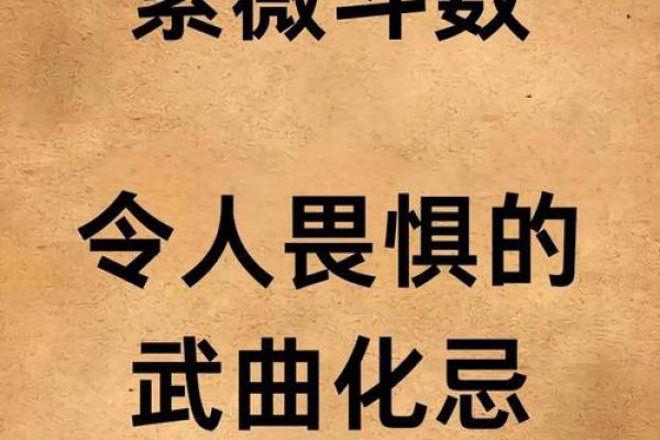 陌元紫薇斗数