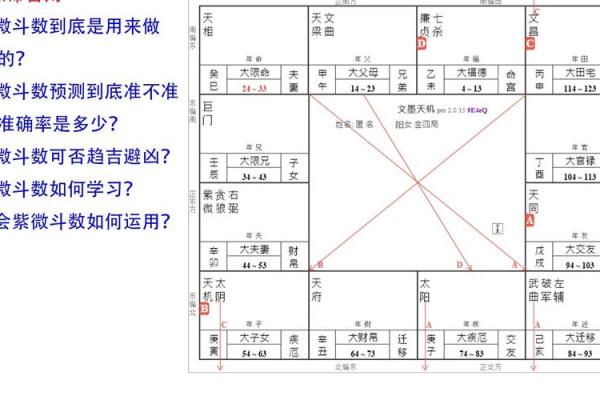 紫薇斗数apk