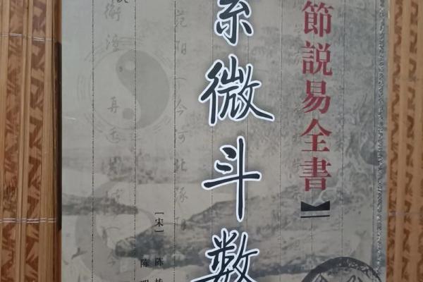 老紫薇斗数