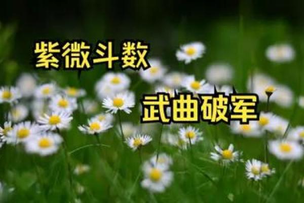紫薇斗数破解会员版