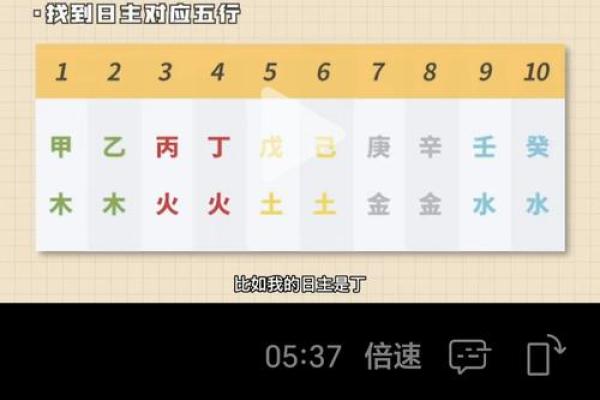 八字排盘软件免费版