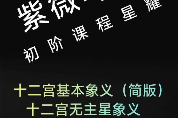 紫微斗数天马星之十二宫释义