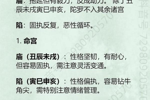 紫微斗数天马星之十二宫释义