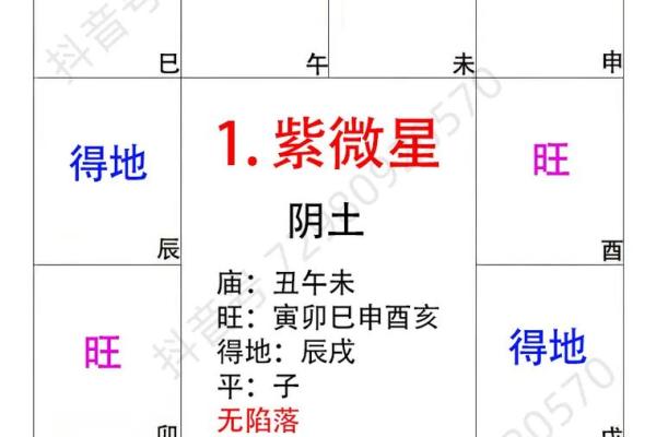 紫微斗数紫薇星在疾厄宫