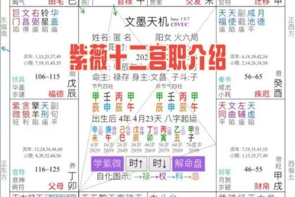 紫薇斗数大子女