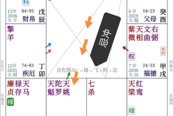 紫薇斗数主要看哪里