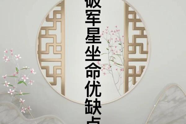 紫薇斗数双星速配