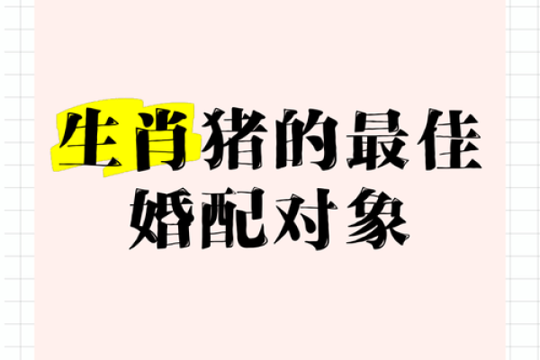 2025年属猪的几月结婚最佳 95年属猪的最佳配偶