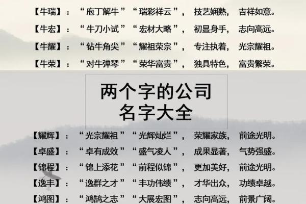 网络公司名字大全-名字大全姓名