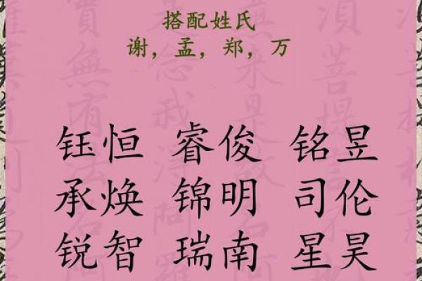 2019年3月17号酉时出生的男孩应该起什么样的名字姓名