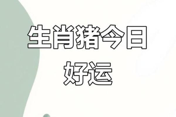 星座运势1971年猪年