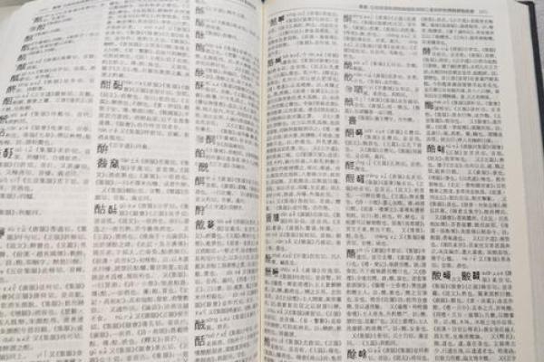 康熙字典24画的字-姓名学姓名