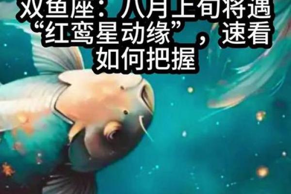 11月上旬，红鸾星入命，慧眼识人嫁对老公的星座女，往后非富即贵
