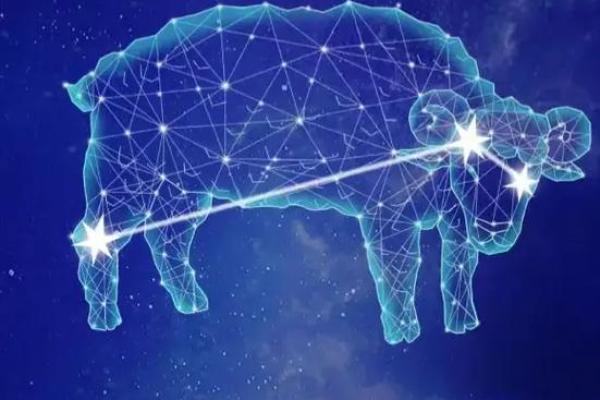 十二星座白羊座适合什么宠物类型