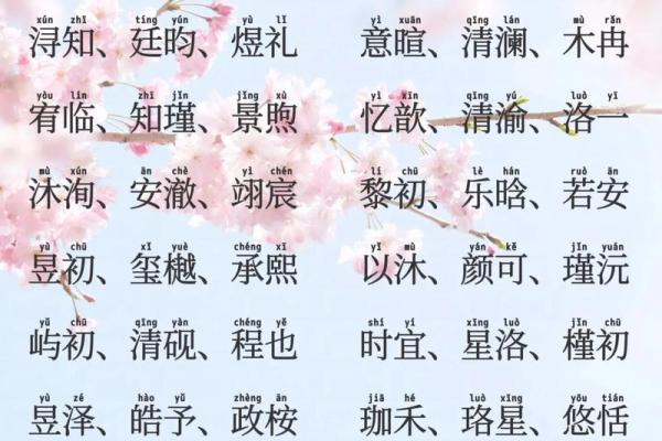 2019年5月14号丑时出生的男孩起名时要注意什么姓名