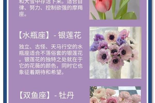 生来有命，十二星座的好命