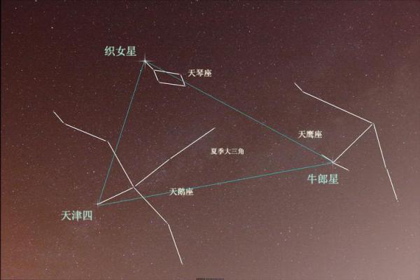 星座是根据天文知识推算的吗