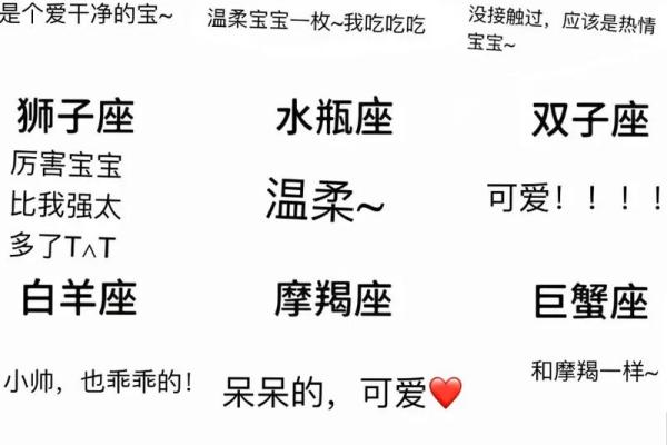 双十一，12星座是哪种奇葩买家