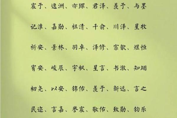 晚上十点出生的属狗男孩怎么取名，用什么字姓名