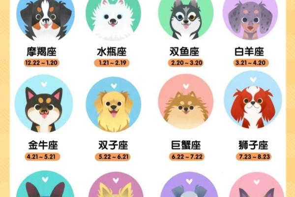 十二星座金牛座适合养什么狗狗