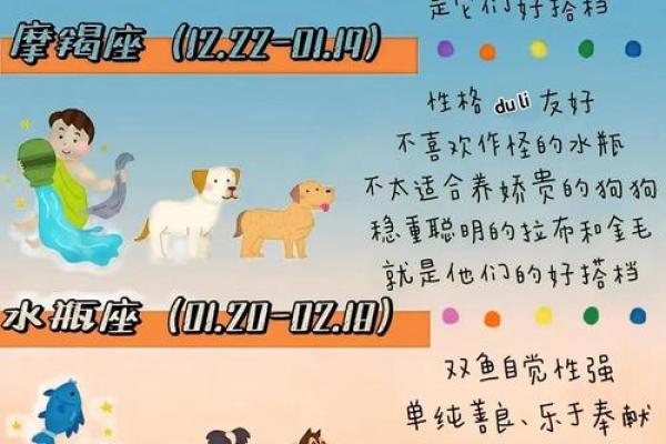 哪些狗狗属于你的星座？